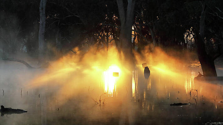 Wall Art featuring the photograph Backlit by Nicholas Blackwell