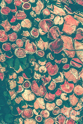 Wall Art featuring the photograph Backlog by Jorgo Photography