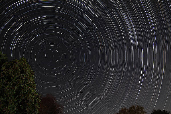 Wall Art featuring the photograph Backyard Star Trails by Brian Weber