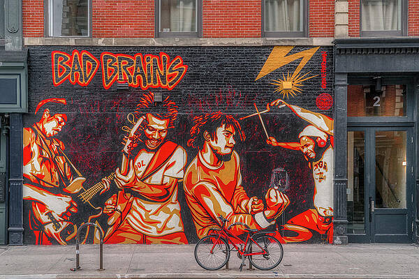 Wall Art featuring the photograph Bad Brains by Penny Polakoff