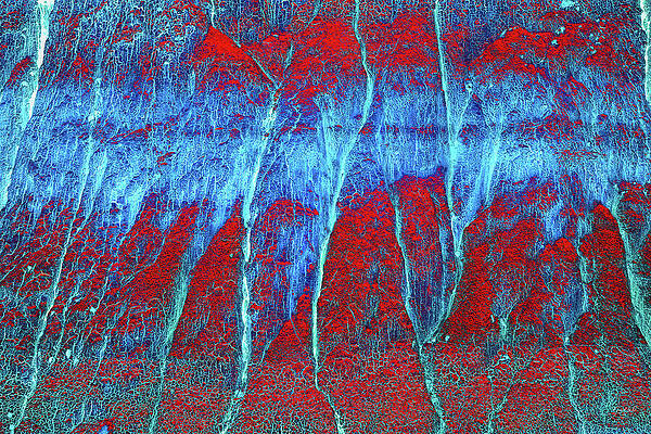 Abstract Blue and Red Composition Wall Art
