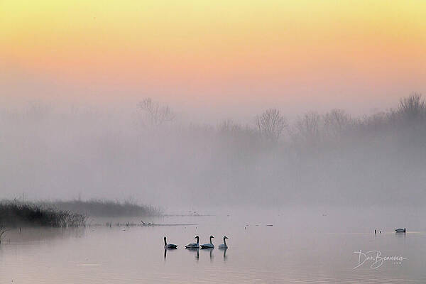 Nature Photograph - Balance #8059 by Dan Beauvais