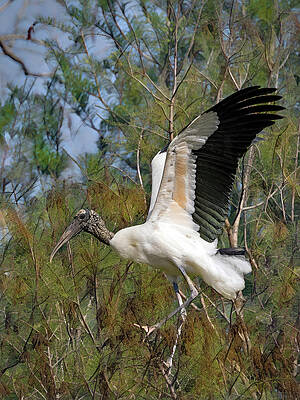 Wall Art featuring the photograph Balancing Stork by Gina Fitzhugh