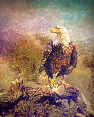 Country Wall Art featuring the photograph Bald Eagle With An Abstract Painterly Effect by Sue Leonard