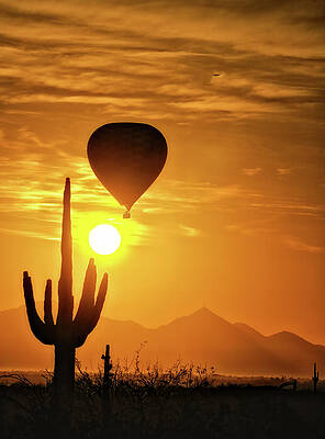 Sunrise Wall Art featuring the photograph Balloon At Desert Sunrise by Bob Falcone
