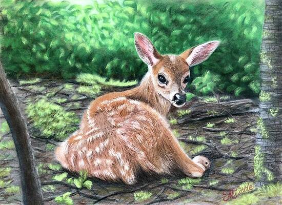 Wall Art featuring the pastel Bambi? by Marlene Little