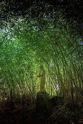Wall Art featuring the photograph Bamboo Garden by Kevin Schwalbe