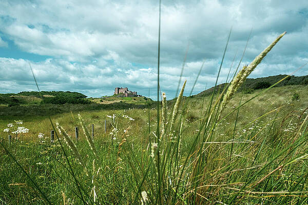 Castle Beyond the Grassy Field Photograph