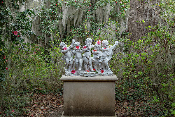 Wall Art featuring the photograph Band Of Angels 5 by Cindy Robinson