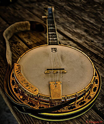 Wall Art featuring the photograph Banjo by Rene Vasquez