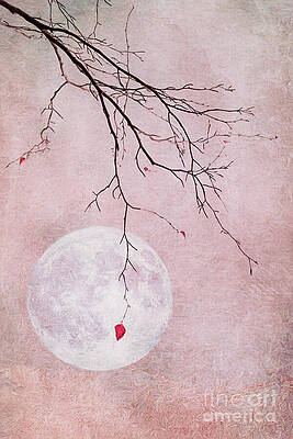 Bare Branches Against Full Moon Wall Art