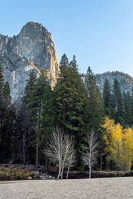 California Wall Art featuring the photograph Bare Trees And Granite by Diane Moller