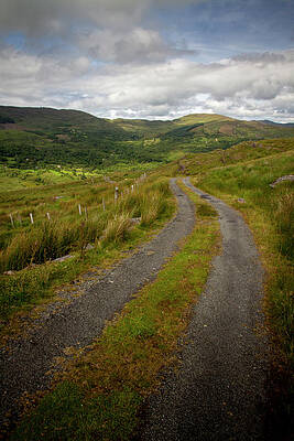 Nature Photograph - Barley Lake Approach by Mark Callanan