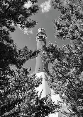 Wall Art featuring the photograph Barnegat Glimpse by Steven Nelson