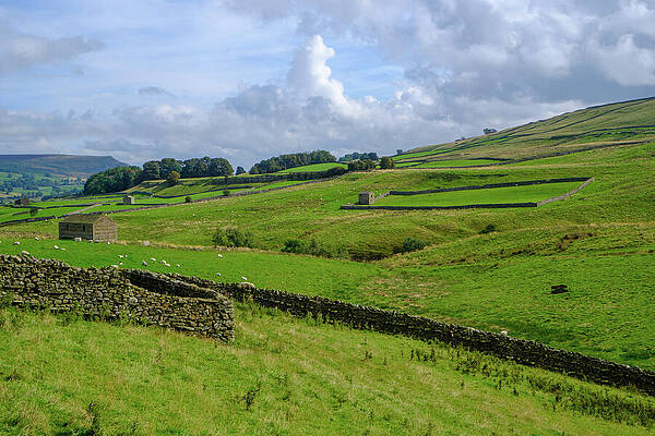 Rolling Hills in Countryside Wall Art