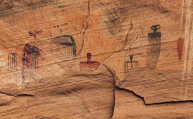 Alien Photograph - Bartlett Beings by Abbie Warnock