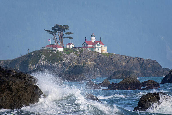Tree Wall Art featuring the photograph Battery Point Lighthouse by Diane Moller