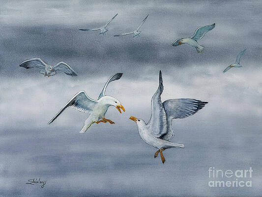 Painting - Battle Of The Seagulls by Shirley Dutchkowski