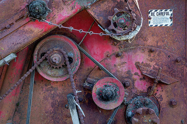 Wall Art featuring the photograph Be Careful by Gina Cinardo