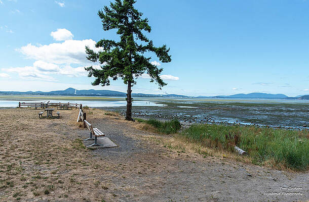 Beach Photograph - Beach Bench And Bay View Mudlflat by Tom Cochran
