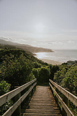 Greenery Photograph - Beach Boardwalk by Nova Rae