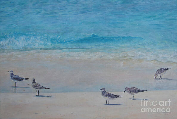 Seagulls by the Shore Wall Art