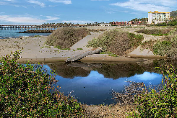 Wall Art featuring the photograph Beach Creek Reflections by Matthew DeGrushe