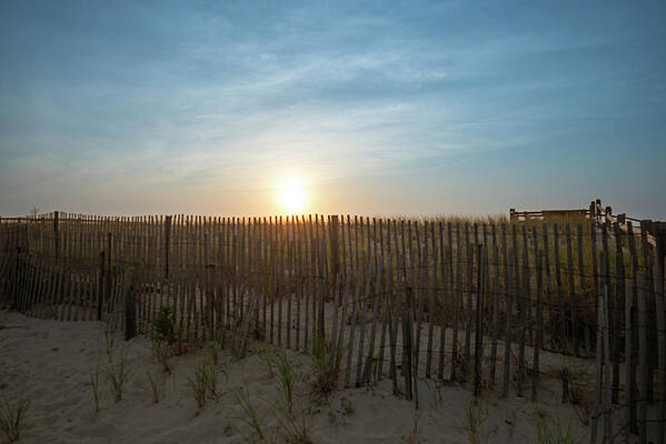 Summer Wall Art featuring the photograph Beach Dunes And Fence At Sunrise by Matthew DeGrushe