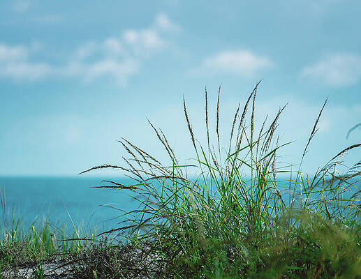 Sky Photograph - Beach Grass And The Atlantic by Jason Fink