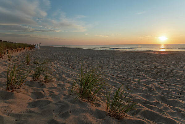 Summer Wall Art featuring the photograph Beach Grass At Sunrise by Matthew DeGrushe
