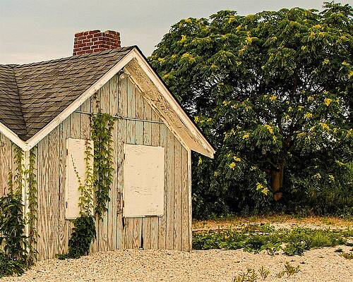 Wall Art featuring the photograph Beach Hut by John Linnemeyer