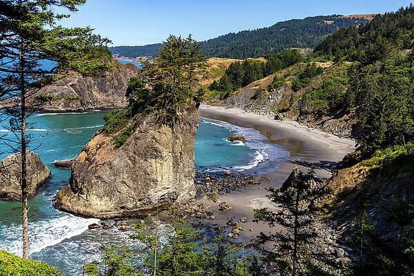 Photograph - Beach North Of Otter Point by Ed Clark