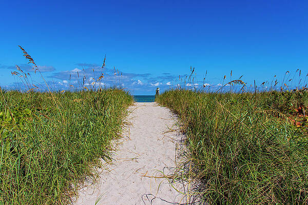 Wall Art featuring the photograph Beach Path by Blair Damson