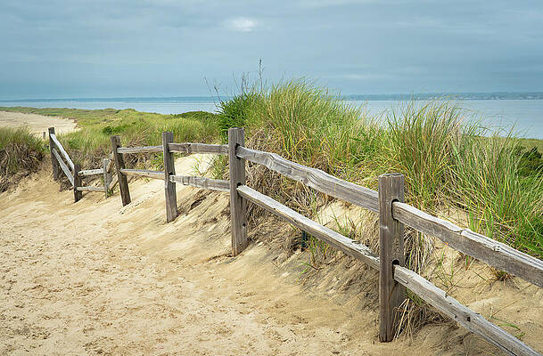 Summer Photograph - Beach Path by Dave King