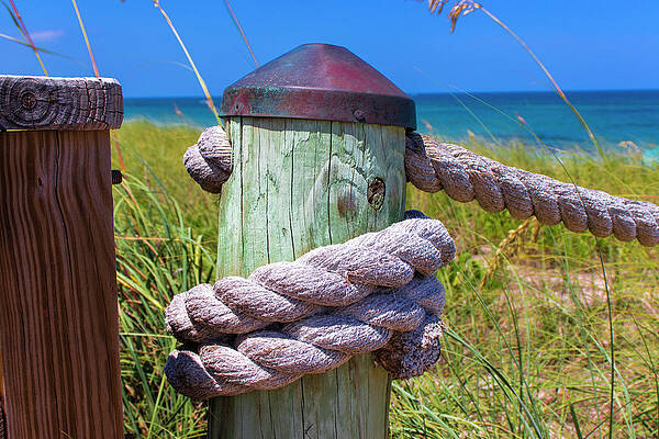 Wall Art featuring the photograph Beach Path Ropes by Blair Damson