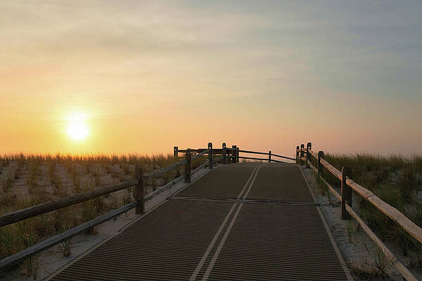 Summer Wall Art featuring the photograph Beach Trail Over The Dunes At Sunrise by Matthew DeGrushe