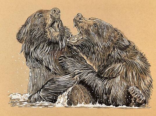 Bear Brawl Print