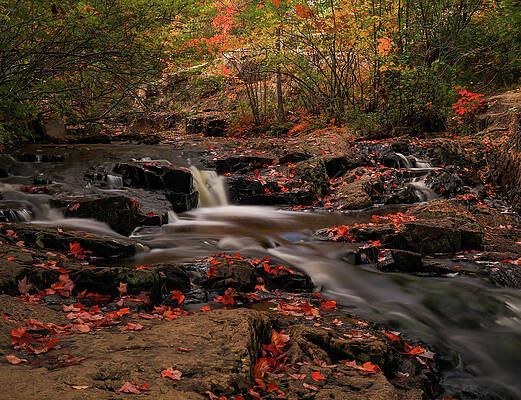Wall Art featuring the photograph Beautiful Autumn Cascades by Dan Sproul