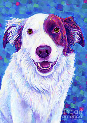 Painting - Beautiful Border Collie by Rebecca Wang