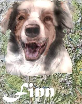 Mixed Media - Beautiful Finn by Pamela Calhoun