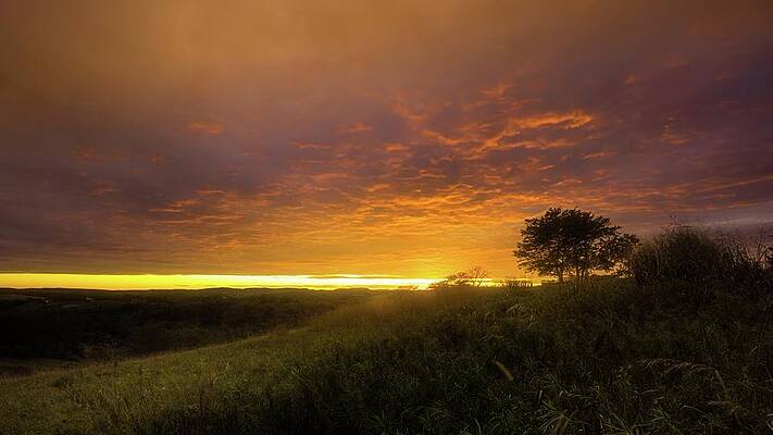 Light Wall Art featuring the photograph Beautiful Light On The Trexler Nature Preserve by Jason Fink