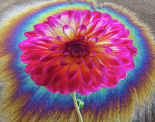 Beautiful Photograph - Beautiful Oil Slick by Jean Noren