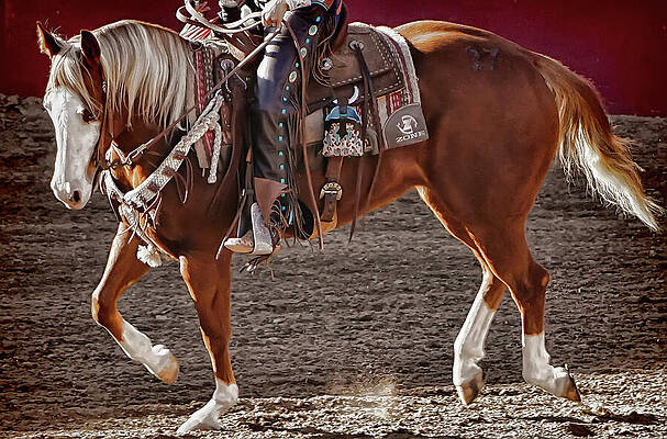 Horse Photograph - Western Paint Horse Canter With Rider In Chaps by Waterdancer