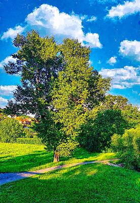 Nature Digital Art - Beautiful Poplar Tree Near A Sidewalk, Under A Blue Sky With Clouds - Digital Painting by Nicko Prints