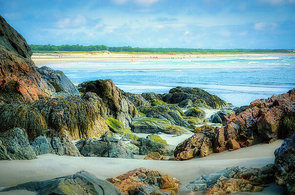 Maine Wall Art featuring the photograph Beautiful Rocks Of Marginal Way by Penny Polakoff