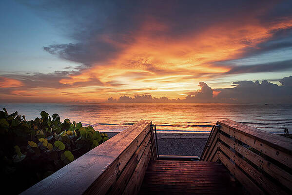 Serene Wall Art featuring the photograph Beautiful World - Beach Sunrise by Laura Fasulo