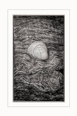 Natural Photograph - Beauty Left Behind-1-BW by Maryanne Keeling