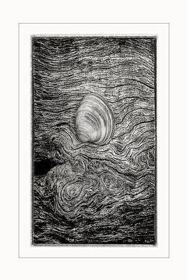 Natural Photograph - Beauty Left Behind-2-BW by Maryanne Keeling