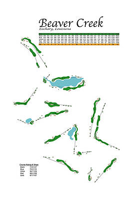 Wall Art featuring the digital art Beaver Creek by Flop Shot Studio