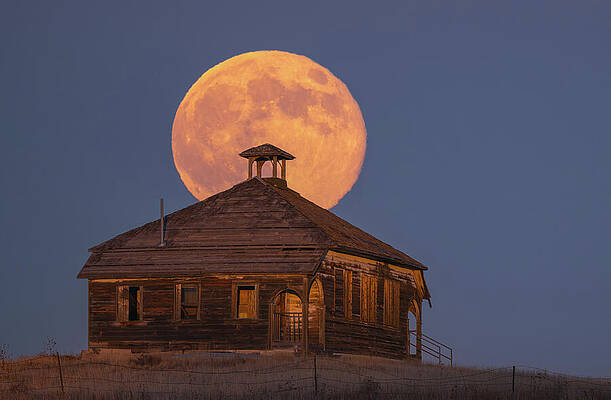 Darren White Astrophotography Wall Art